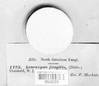Image Associated With the Occurence